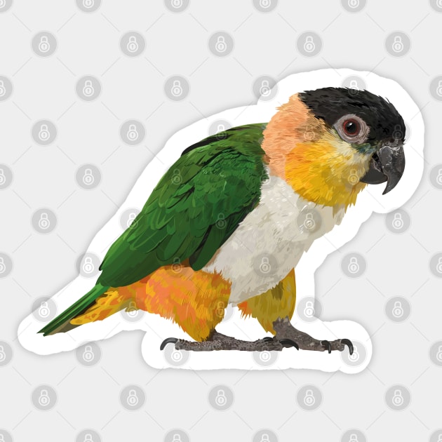 black headed caique Sticker by obscurite